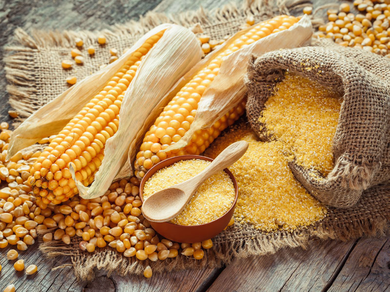 Farina per polenta: gialla, bianca e fioretto ...