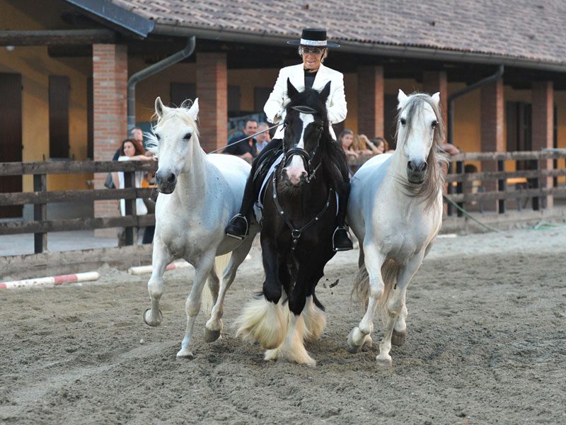 Agriturismo con animali Brianza